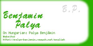 benjamin palya business card